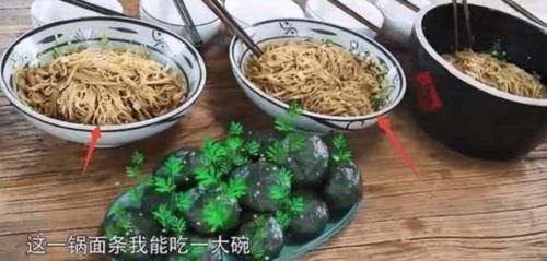 穿帮镜头 《向往的生活》多次被批穿帮造假,替身做饭,导演10字说出真相