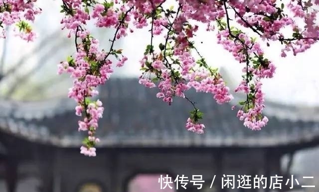 花弄影@张先最喜欢的一首天仙子,一句“云破月来花弄影”被后世传诵千古