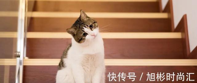 气血|经络堵则百病生！经络不通，试试这个方法，有寒去寒，祛湿化瘀！