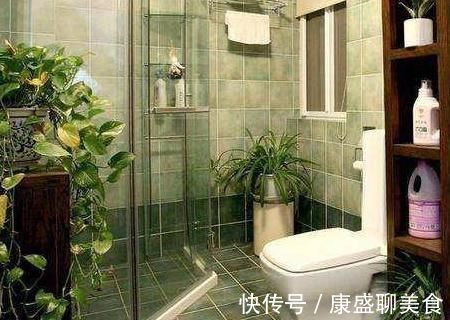把花养在卫生间，看看我隔壁邻居家，绿萝爬满屋，像热带雨林