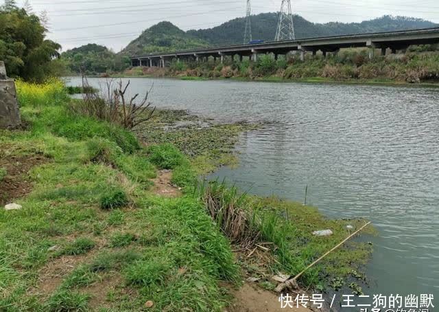 一到中午就停口该怎么办?频繁补窝是下策,教你一招打开鱼口