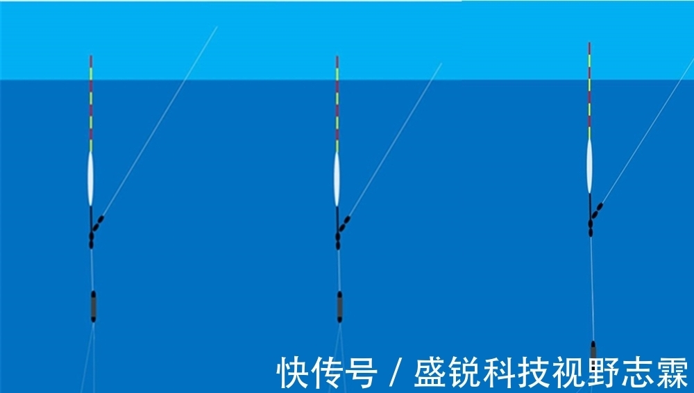 灵钝|调漂技巧:常见漂相主要顶漂和顿口,如何调漂,能让顿口更清晰?