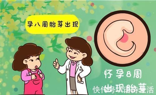 西瓜肚|不同孕周“变化表”出炉,准妈妈请结合孕况自查,你达标了吗?