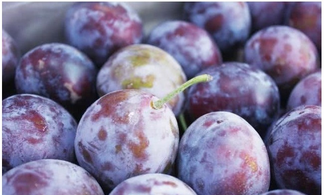 抗衰老|最养女人的水果，每天吃上两个，补血气抗衰老，美容养颜