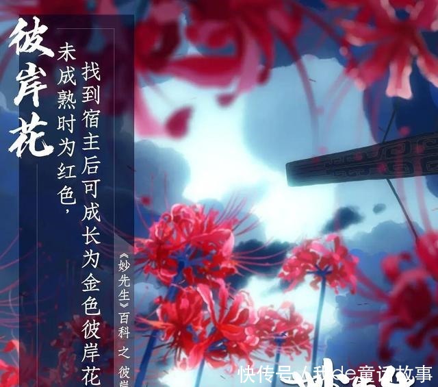 大护法|看完了火遍抖音的失足女云香,带你详细的了解一下《妙先生》