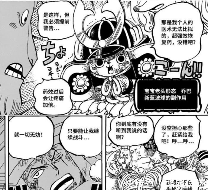 龙珠|海贼王1017话：尾田致敬龙珠，索隆吃了仙豆，满血复活对战炎灾烬