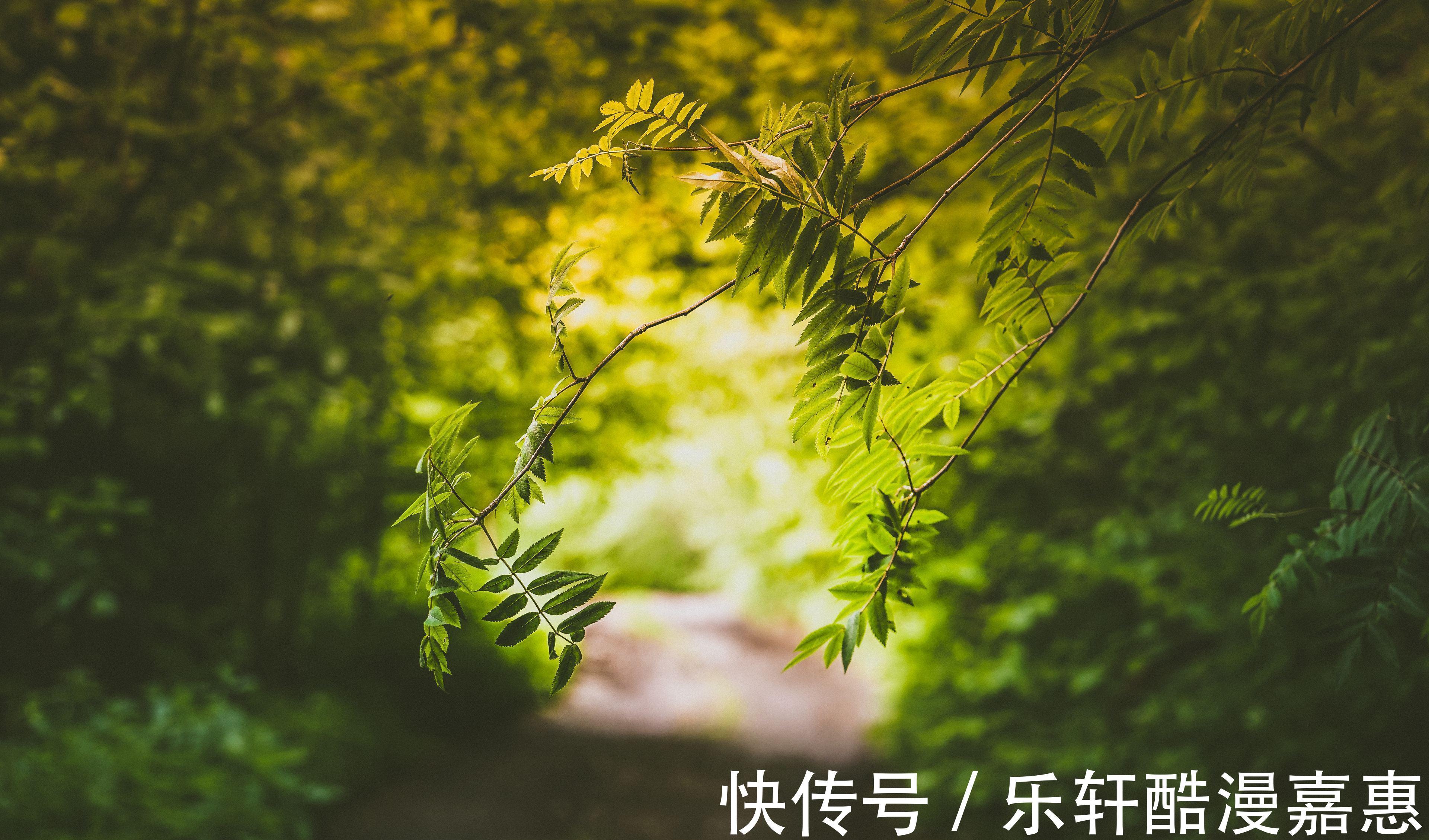 星座|外表花心,内心专一,这三个星座,卸下伪装时心里只会归属一个人