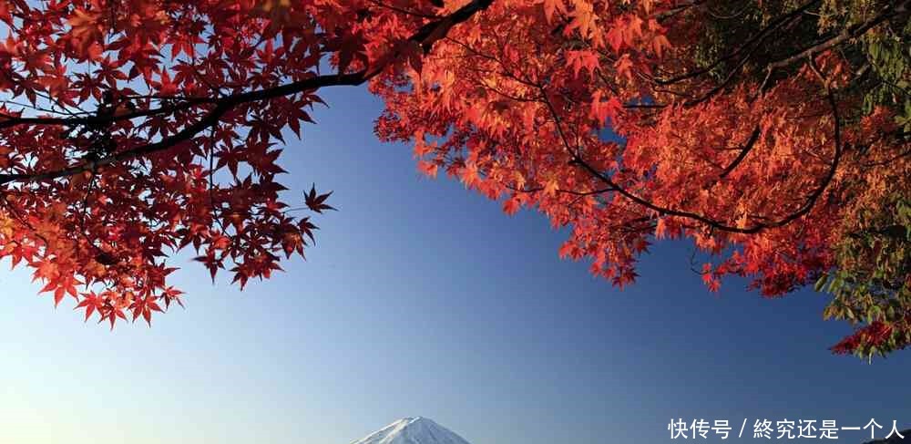 原来富士山不属于日本政府，而是租来的，每年支付天价租金！