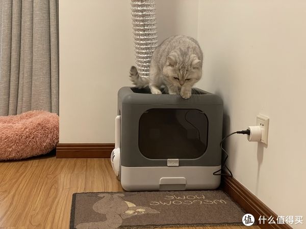 改造|我和智能家居的爱恨情仇 篇六:告别异味 低成本打造智能新风猫厕