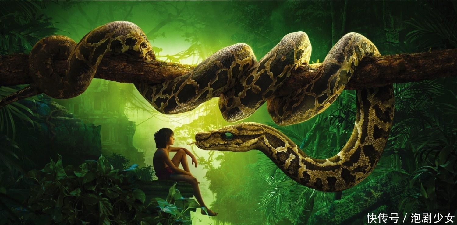 高质量|分享3本小说，保证高质量，只是更新有点拉胯，有耐心的可以看看