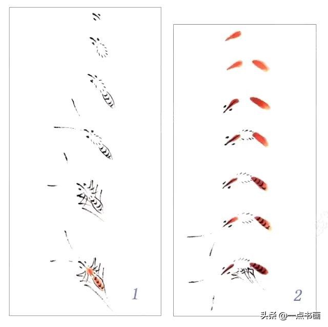 蝶斑！一学就会——写意蝴蝶画法