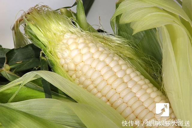 玉米粒|新鲜玉米，不要直接冷冻！这么做，玉米放多久吃都新鲜！