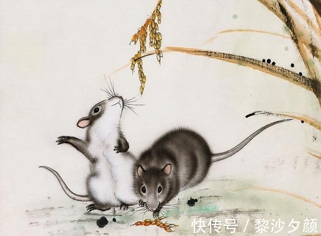 生肖鼠|不会急于求成,凡事都会默默努力,必定厚积薄发的三个生肖