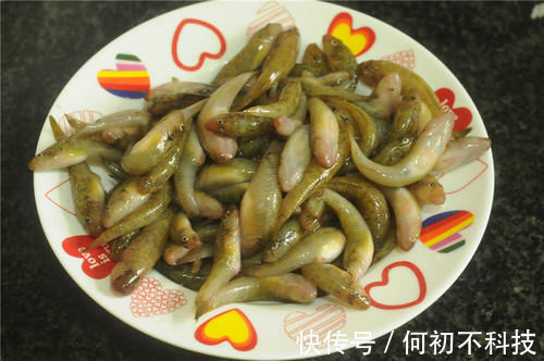 美美家|冬天不吃它太可惜，钙是虾肉的10倍，5块钱一斤，识货的抢着买