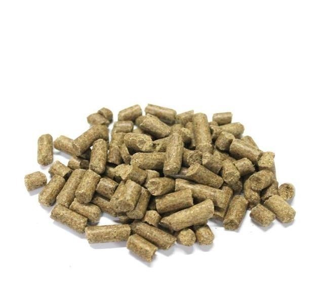 玉米粉一天100斤鱼获,使用针筒上饵方便又卫生