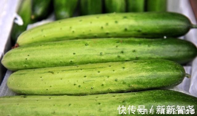 农药残留|原来辨别激素黄瓜如此简单,认准这4点,一眼就看出来,长见识了