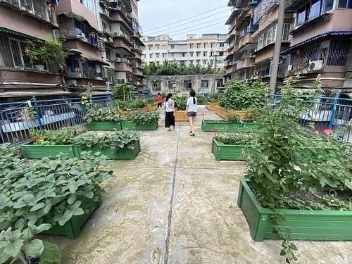 答案|楼梯房和电梯房哪个更值钱住宅“新标准”出台，答案出乎意料