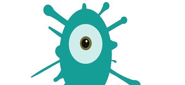 菜叶|你是真的会买菜吗良心商贩透露甲醛白菜三大特点,你应该知道!