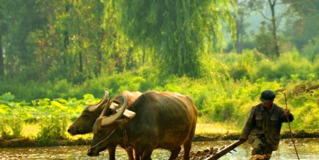 才女#才女出一上联“肥水不流外人田”,老瞎子对出下联让她又羞又怒!