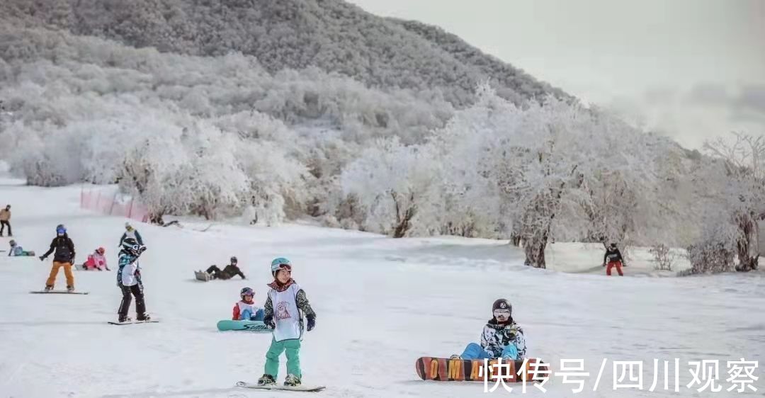 只有峨眉山|春节假期前五日 四川接待游客数量再攀新高