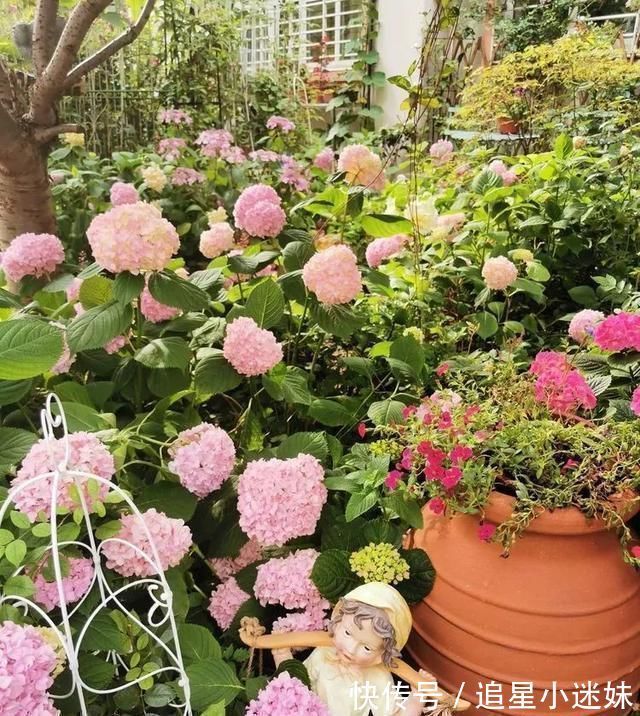 有了30平方的小院,能将日子过成了诗简单而精致,优雅而从容