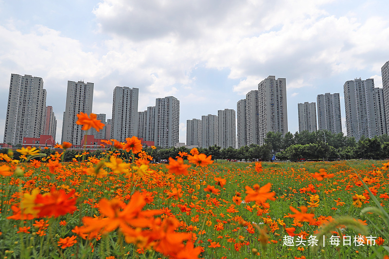 租房|离职售楼小姐揭秘一栋楼4个楼层“难卖”，居住不舒适建议避开