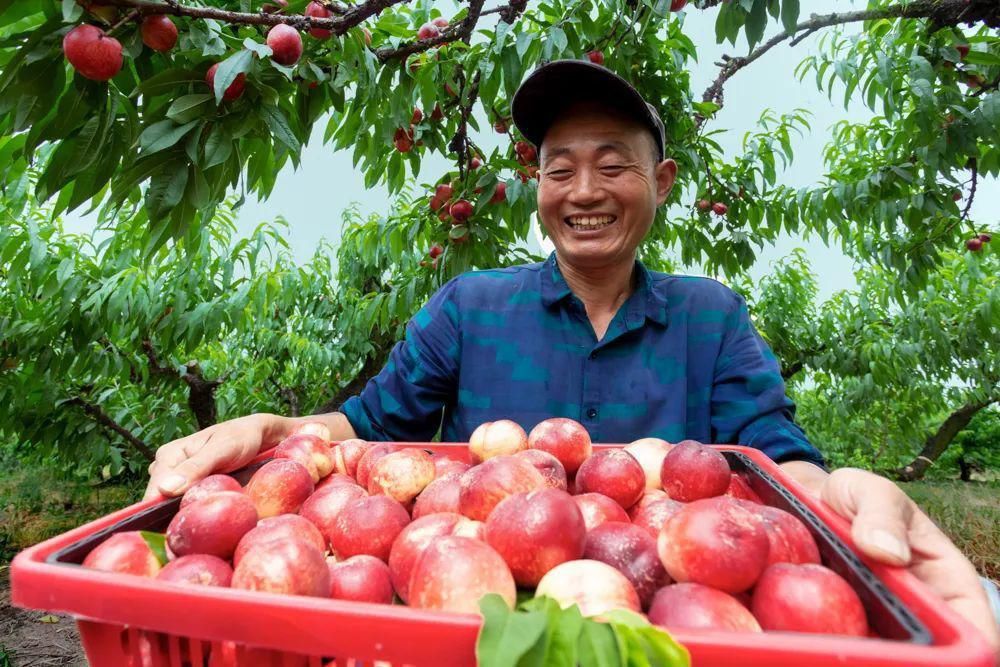  刚刚|刚刚，获奖名单出炉！