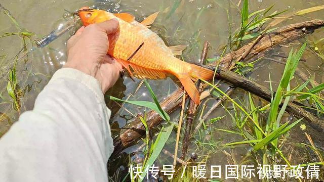 游泳|危险!这两个季节是钓鱼人的“克星”开钓需谨慎,血淋淋的教训