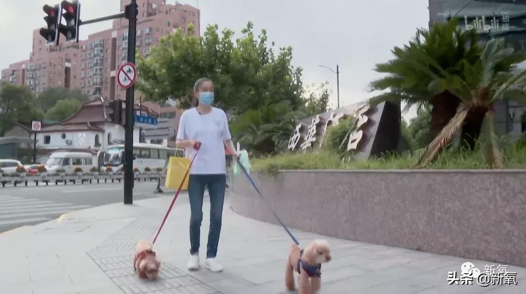 瓊瑤|她是瓊瑤最愛的女主角，62歲獨(dú)居9年，私人生活首次曝光