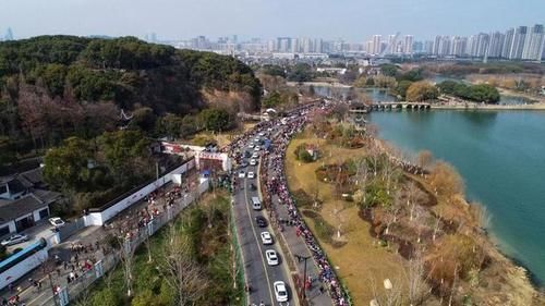 老年|苏州有个很小众的赏梅地，春节期间人山人海，很多本地人不愿意去