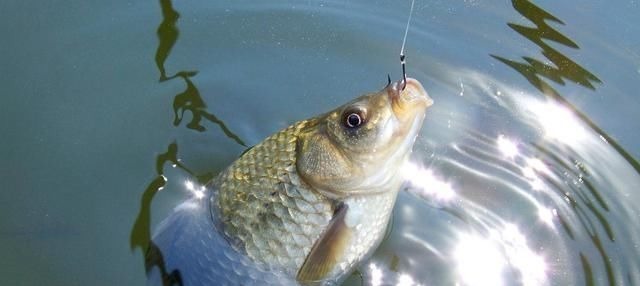 冬季|冬钓时,这三个位置不宜考虑,莫不信,老司机们都晓得,不学亏了