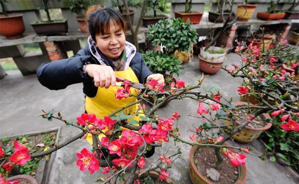 养花的这些臭毛病，占三个就说明不会养花，你占了几个