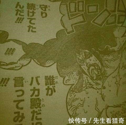 没法|海贼王971话御田向凯多求饶,他的蠢已经没法洗了