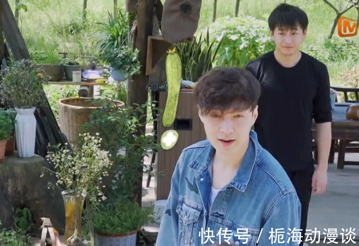金靖|向往5：同样是闹腾，为何观众对陈赫李诞与金靖的态度却天差地别