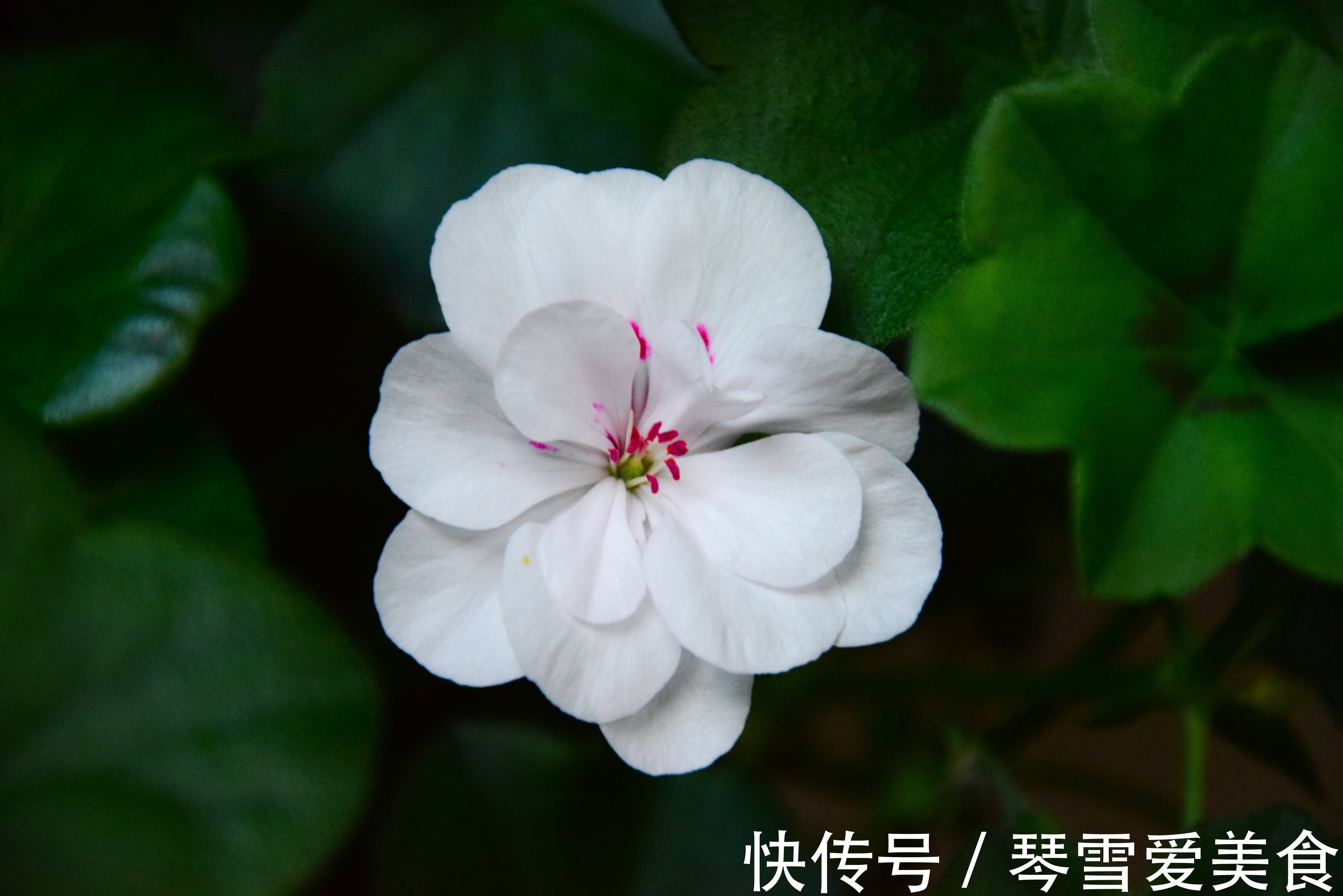 大姨|儿女成家后,和亲家相处做到2点就够了,很重要