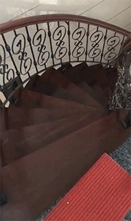 |搞笑GIF:来女朋友家吃饭,为啥不给多下点面条啊