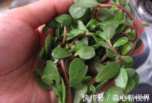 艾叶糍粑|女人不想皱纹爬满脸,4种食物经常吃,睡眠好,身体更健康