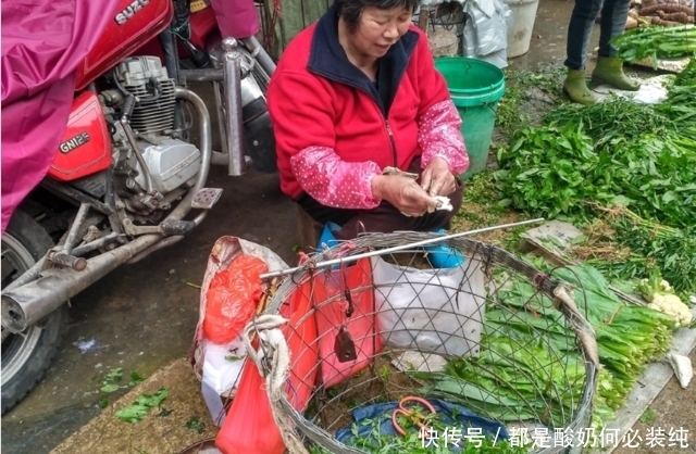 集市有种野菜价格贵过猪肉，农村大姐一上午摘100斤不愁卖