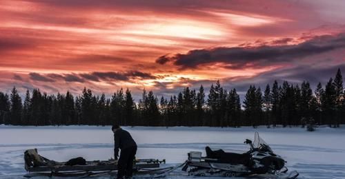  板蓝根颗粒|板蓝根不是感冒神药！中医教你5招，对症用药，药到病除！