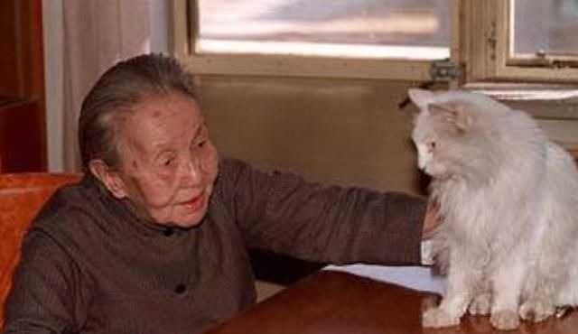 梁思成#为何林徽因、鲁迅、张爱玲这些民国大家都看不惯冰心?