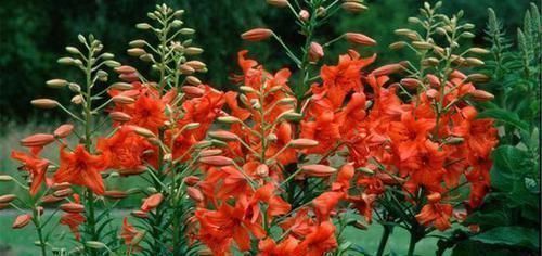 激素分泌|女性雌激素“告急”,身体会露出马脚多吃4物,皮肤好、不显老