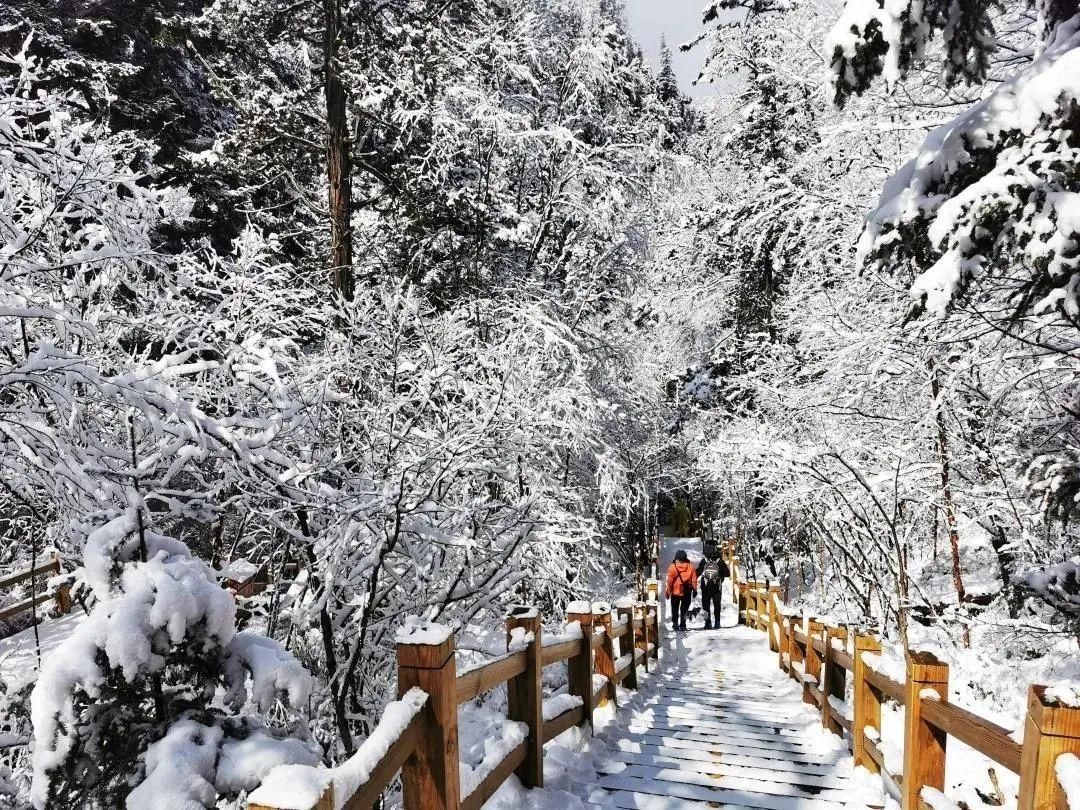 一场春雪 万种风情~九寨沟等你来“撩”！