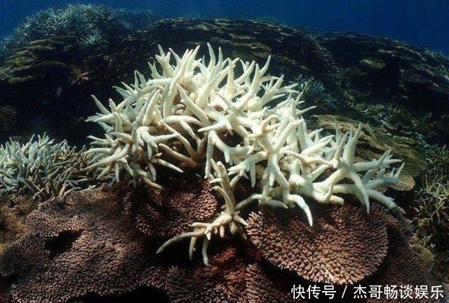 一年只写一次的防晒合集，错过别再问我