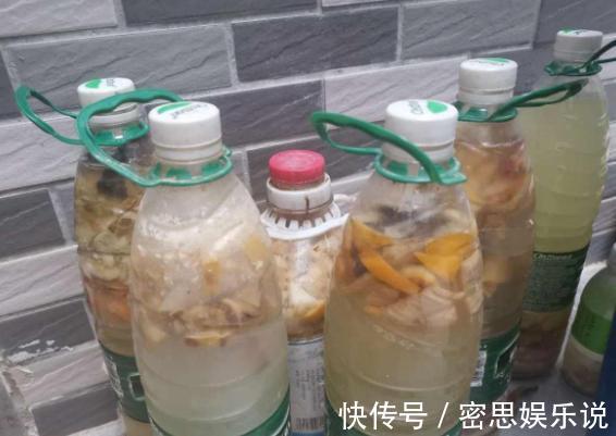 花土板结怎么办?不换盆土,学会这几招照样能搞定难题