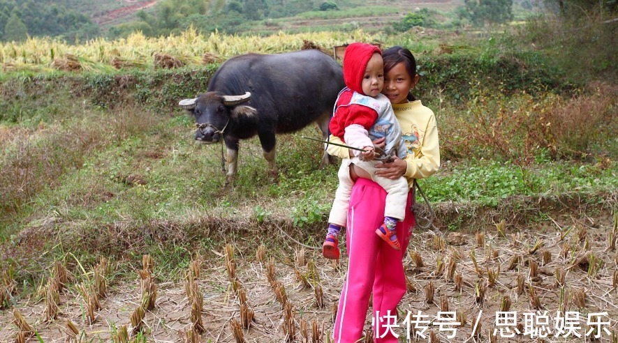 婴儿|母狼送给猎户个婴儿，猎户好心抚养20年，婴儿长大后发大财