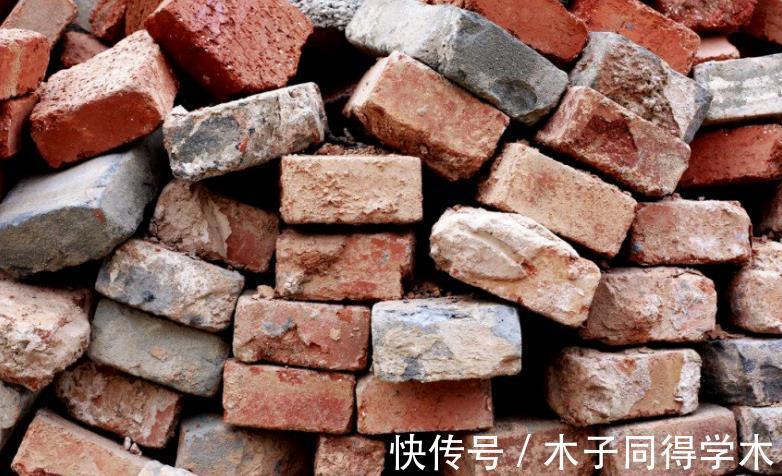 红砖|搬两块砖回家养花吧！过程有趣，效果喜人