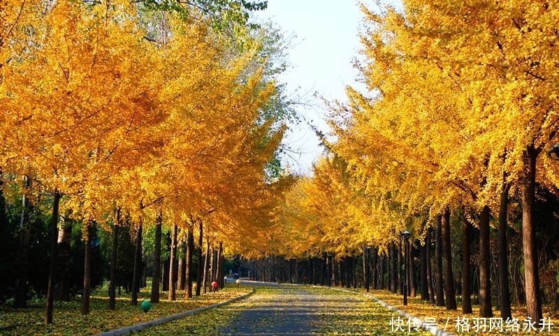 万木春$刘禹锡的经典之作,其中一句千古流传,这才是诗人的豁达情怀