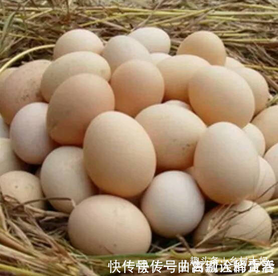 血浆蛋白量|鸡蛋和此物一起吃,头发黑,肾也好,睡眠倍儿棒,早知早好