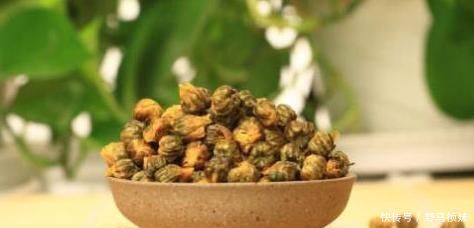 菊花与此物泡,坚持7天肝变干净,皮肤白了、口臭也不见