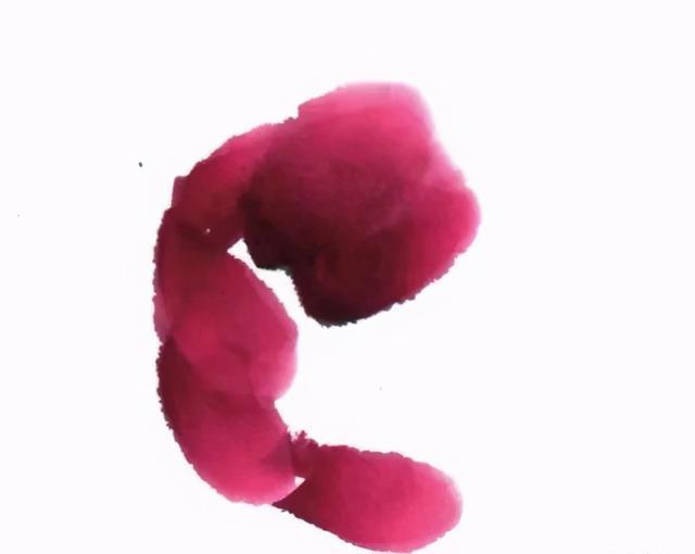  形态|紫、红牡丹花头写意画法与形态参考